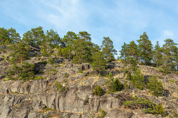 beautiful landscape with green, natural plants, trees on a mountain, rocks on an island near a reservoir, lake in the summer of Karelia, Russia