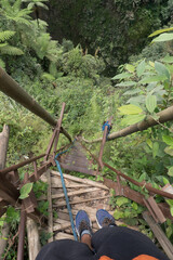 Scary stairs in the jungle