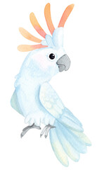 Watercolor illustration. Exotic bird. Cockatoo. Cute cartoon parrot isolated on white background.