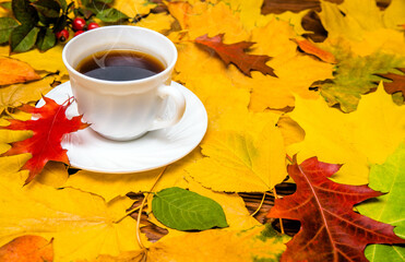 Autumn still life with cup of black coffee
