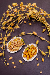 Dry and boiled chickpeas in ceramic bowls and it's own branches