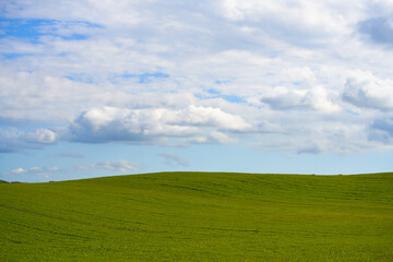 北海道の牧草地と青い空に白い雲