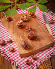 autumn still life with horse chestnuts on wooden background
