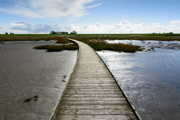 Obraz premium Wattenmeer