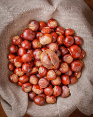 autumn still life with horse chestnuts on wooden background