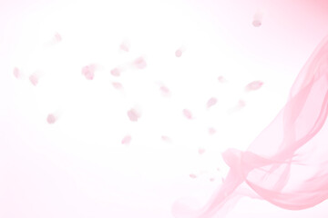 布と桜の花びら