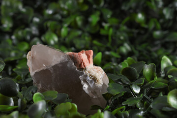Different stones and minerals on wooden discs on a green background of leaves