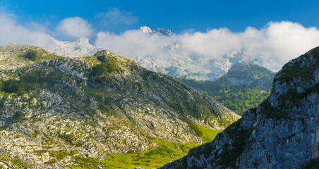 Naklejka na ściany i meble Mountains from Enol lake, Picos de Europa National Park, Asturias, Spain, Europe
