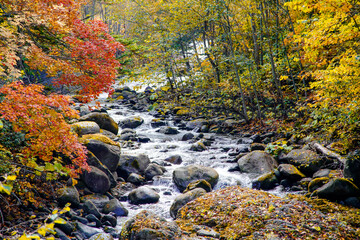秋、北海道伊達市大滝区にある「三階滝公園」のたきみ橋から見る、紅葉真っ盛りの三階滝