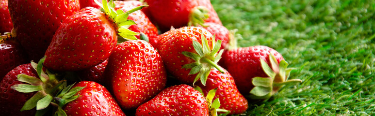 red fresh strawberries on green grass, close view