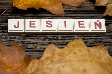 Jesień - słowo oznaczające porę roku napisane kwadratowymi literkami na deskach z tekstury w jesiennym klimacie. - obrazy, fototapety, plakaty