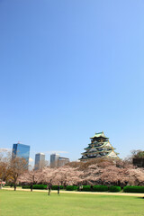 Fototapeta na wymiar 大阪城と桜