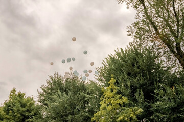 balloons fly into the sky above green trees.