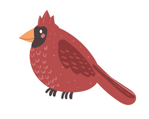 Cardinal bird Vector flat style isolated on white