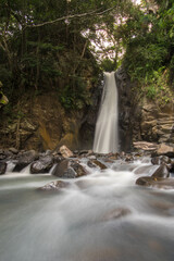 Waterfall in the jungle
