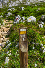 Reintroduction project of Bearded Vulture in the Cantabrian Mountains , Picos de Europa National Park, Asturias, Spain, Europe