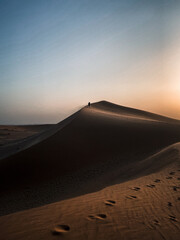 Fototapeta na wymiar Neverending Desert