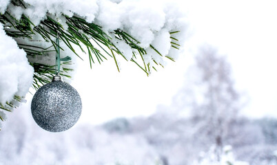 Christmas background with silver Christmas ball on a snow-covered pine branch in a winter forest with a copy space. New year holiday, Christmas celebration, greeting card. Merry Christmas