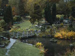 Fototapeta na wymiar The briDge over the pond at Avenham Park's Japanese Gardens in Preston, UK