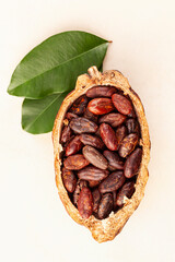 Fresh roasted cocoa beans in a pod with leaves on beige background..