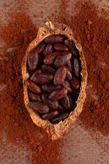 Fresh roasted cocoa beans and powder on brown background.