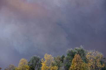 A smoke plume fills the sky above colorful autumn leaves