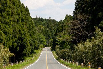 阿蘇の道路