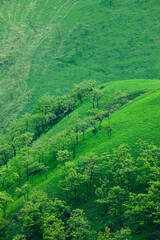 狭霧台から見る草原