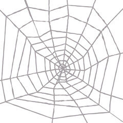Isolated Spider Web Structure over White Background, Vector Illustration