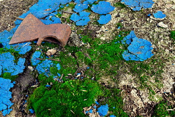 a rusty ax rests on a decayed, moss-covered chipboard