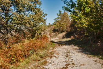 Countryside rural landscape with country road in late summer sunny day