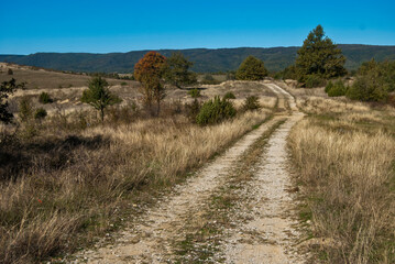 Countryside rural landscape with country road in late summer sunny day