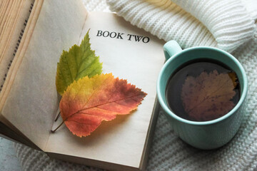 An old book with yellowed pages and the inscription Book two inside which bright leaves. Next to a...