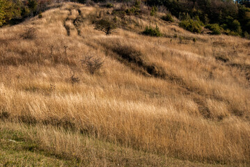 Countryside rural landscape with country road in late summer sunny day