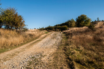 Fototapeta na wymiar Countryside rural landscape with country road in late summer sunny day