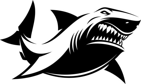 Vector illustration, great white ferocious shark