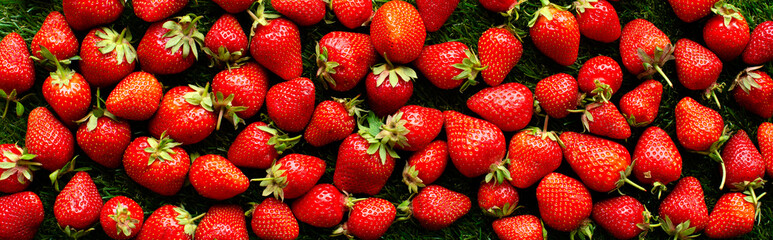 red fresh strawberries on green grass, close view
