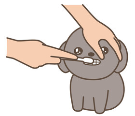 歯を磨いてもらう子犬