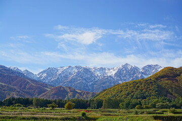 Autumn colorful foliage. mountains have 3 different colors made by nature, white, red, green. 