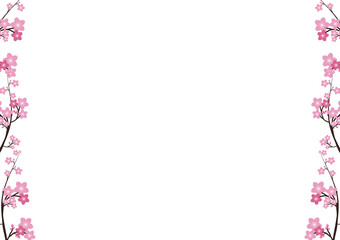 Cherry blossom, Sakura pink flowers background.