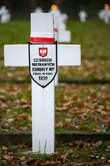 Graves of unknown soldiers at the military cemetery in Kampinos National Park, Granica. Translation of the text:  