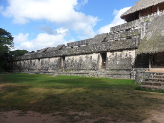 Fototapeta na wymiar The flora, fauna and Mayan temple ruins of the Yucatan Peninsula, Mexico