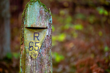 Hiking markers on the posts in the forest in Kampinos National Park