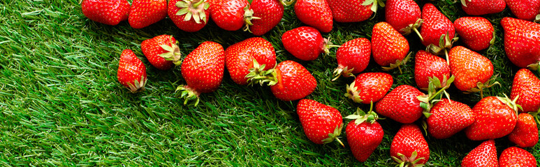 red fresh strawberries on green grass, close view