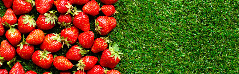 red fresh strawberries on green grass, close view