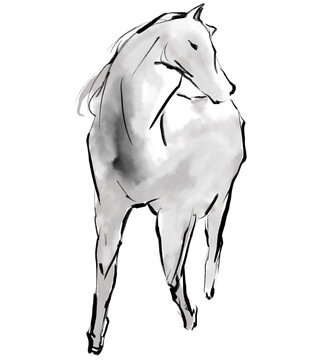 芦毛の馬
