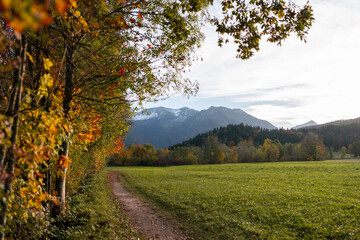 A photo of a view of the Alps, passing autumn colored trees