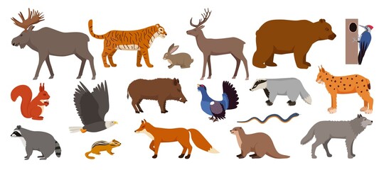 Forest animals isolated on white set of vector illustration. Woodland wild animals and birds nature collection. Moose, deer, bear and hedgehog, rabbit, squirrel, beaver or wolf, fox, raccoon.