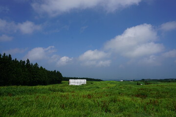 Obraz premium landscape with sky