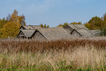 Fototapeta na wymiar Old, ramshackle village houses among dry, autumn grass. Gold autumn.